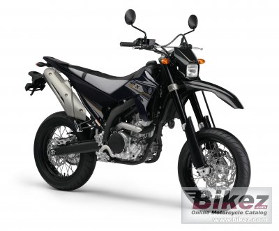 2013 Yamaha WR250X photo